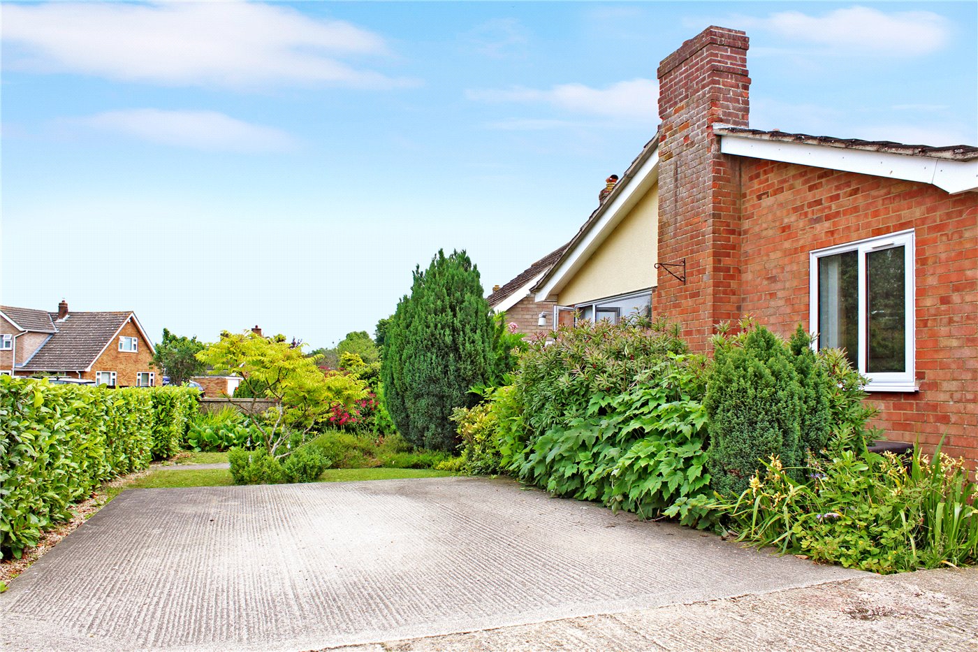 Driveway